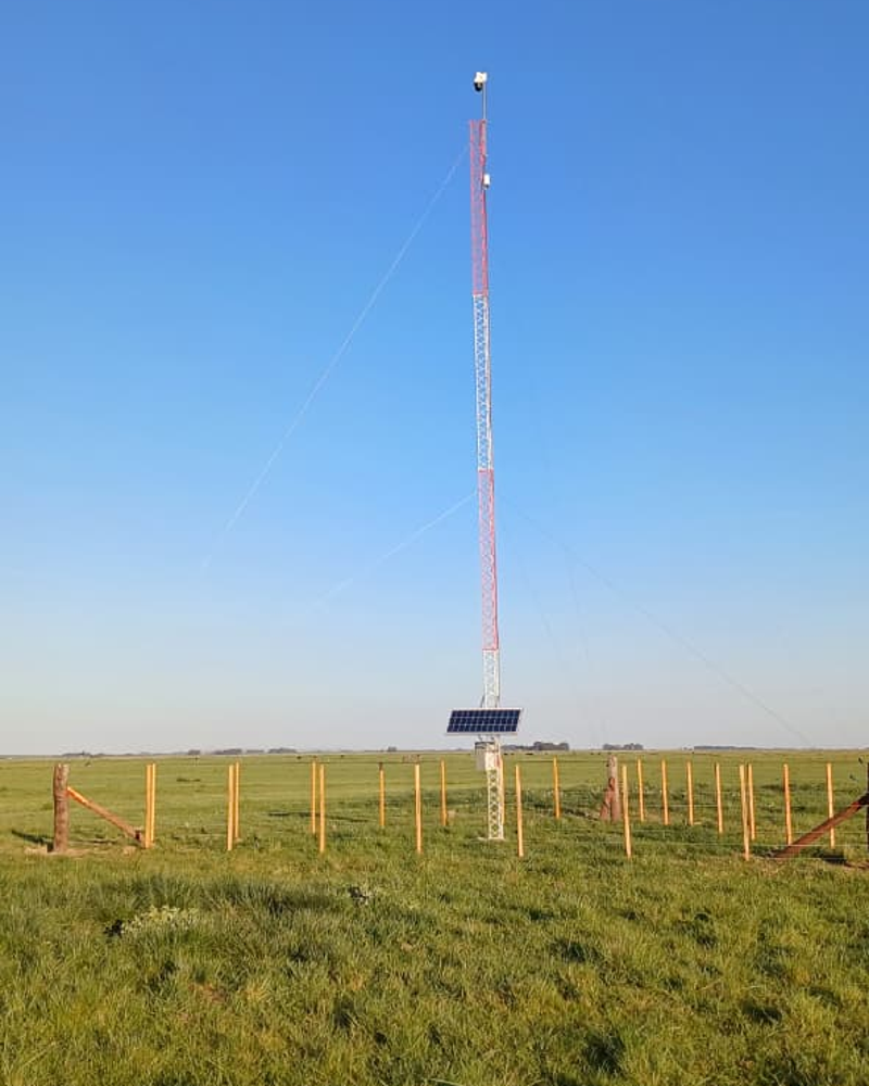Alquimia Solar en campo argentino